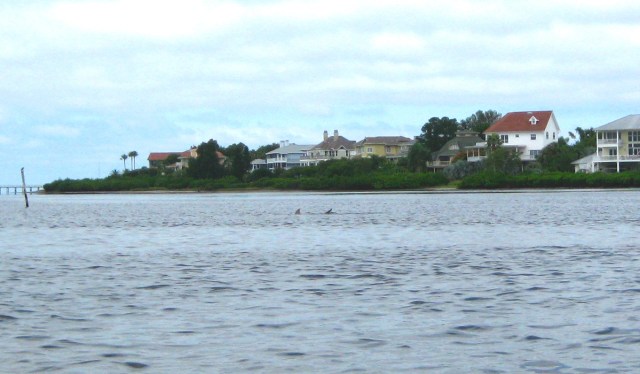 We're gonna need a bigger boat.